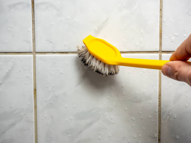 Best Mold Removal and Inspection  in Daisetta, TX