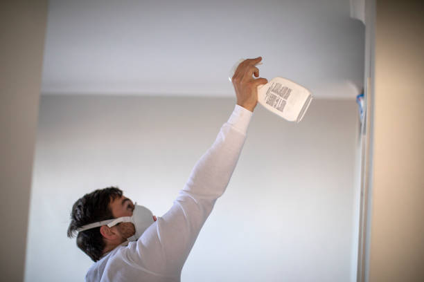 Best Water Damage Restoration  in Daisetta, TX