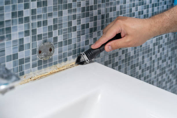Best Office Mold Removal Services  in Daisetta, TX