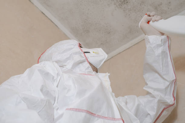 Best Crawl Space Mold Removal  in Daisetta, TX